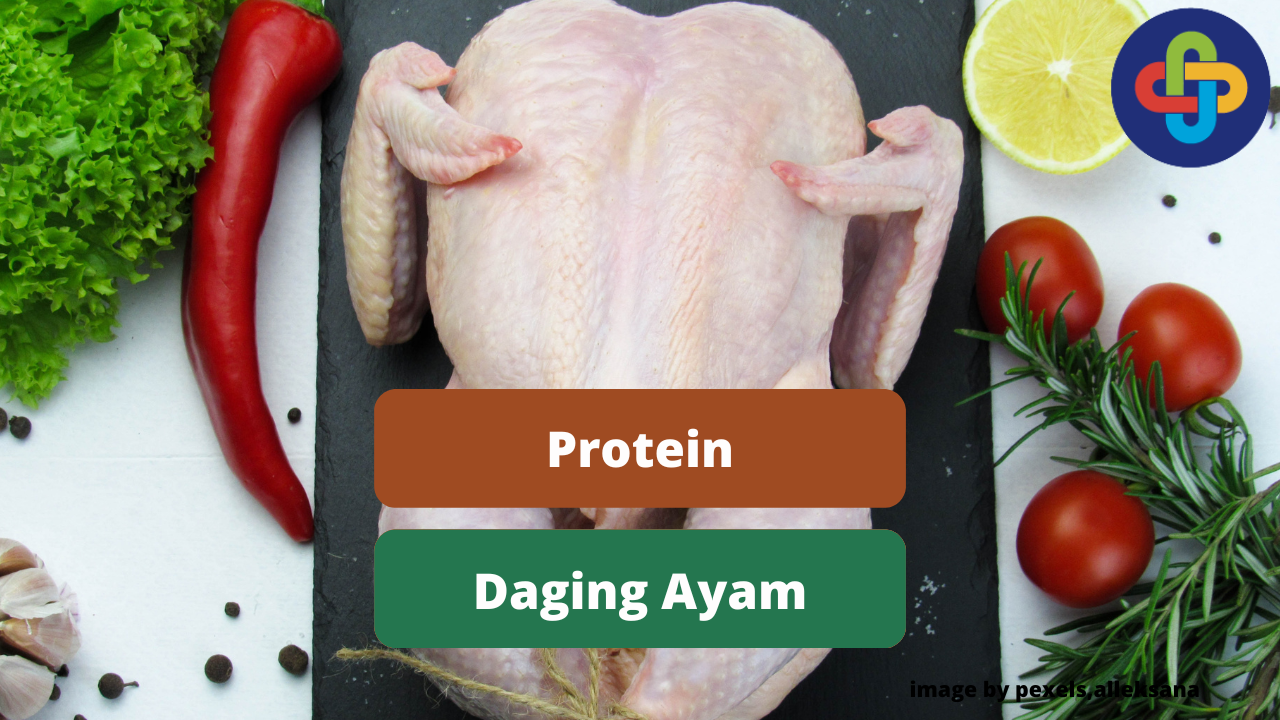 Ketahui Kandungan Protein Dalam Daging Ayam